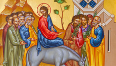 Цвети — данас се доносе важне одлуке и започињу послови