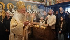 Митрополит Јоаникије: Господ Исус Христос – Сунце Царства небеског