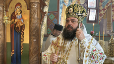 Владика Херувим: Самовоља није пут ка Христу