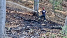 У манастирским шумама код Троноше избио пожар
