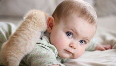 Abortion is a legitimate genocide, - Hierarch of the Greek Church