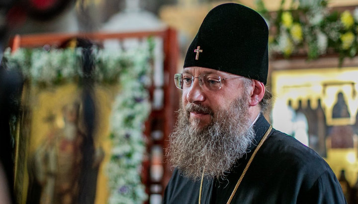 Chancellor of the UOC, Metropolitan Anthony (Pakanich). Photo:hram-obolon.com