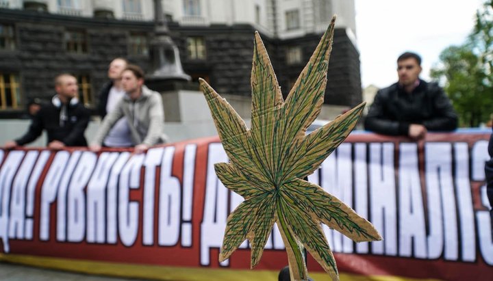 The Golos party submitted to the Verkhovna Rada a bill on the legalization of medical cannabis Photo: twitter.com/apostrophe_ua