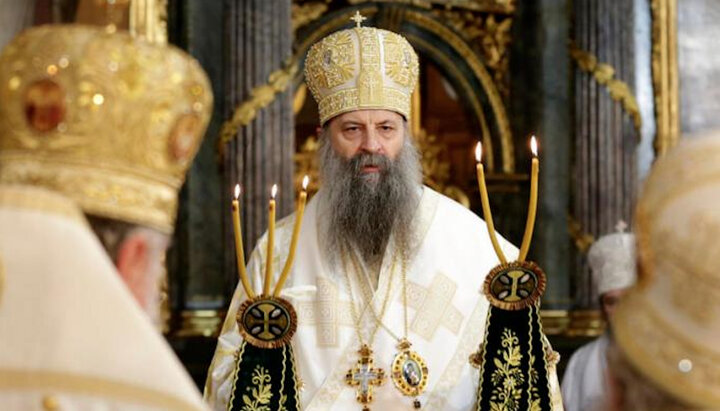 Serbian Patriarch Porfirije. Photo: balkans.aljazeera.net