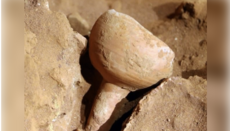 Archaeologists discover a cup resembling 'Holy Grail' in Indiana Jones film