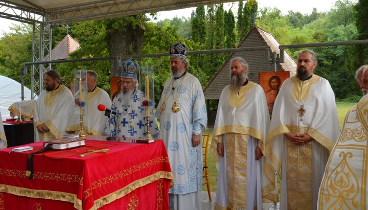 Заједница 