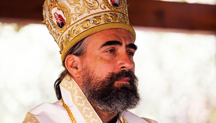 Владика Методије. Фото: Епархија будимљанско-никшићка. 