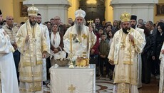 Епархија осечкопољска и барањска прославила своју славу