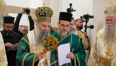 Осам и по векова од рођења Светог Саве у Дежеви