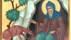 Козјачки пустињак који је прорекао цара