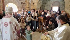 Митрополит Теодосије: Свети Георгије је вечити сведок Христове победе