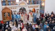 У Лучанима дочекана икона  Богородице Млекопитатељнице 