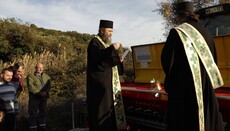 У Хиландару се поново узгаја пшеница