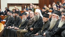 Православље се мери никејском вером - патријарх Порфирије