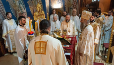 Литургија на Оце у Медаковићу: Патријарх рукоположио свештеника