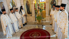 Без благодати Божје ниједан подвиг није довољан – патријарх Порфирије