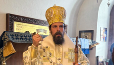 Владика Пајсије: О блудном сину и истинском покајању