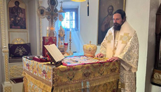 Бог преображава човека љубављу, а не осудом. Владика Пајсије 