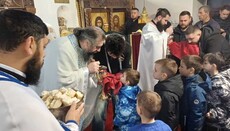 Свети Трифун свечано прослављен у Великој Хочи и Ораховцу