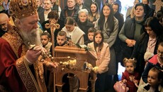 Митрополит Јоаникије: Молимо се да Господ наше преминуле удостоји вечног живота