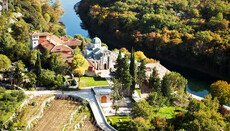 Тврдошко маслиново уље је међу најбољима на свету