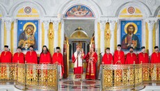 Патријарх Порфирије: Ако учинимо себе Христовим, онда ће и Христос учинити нас својим!