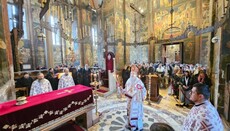 Митрополит Теодосије богослужио у манастиру Високи Дечани