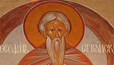 Свети Теофан Исповедник: Борба против иконоборства и победа правоверја