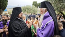 Митрополит Јоаникије: Преподобни Симеон Дајбабски је светлео и своме народу и отачаству