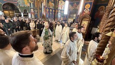 Епископ Јеротеј: Чистим срцем препознајемо тајну победе на злом, грехом и смрћу