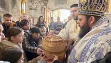 Епископ Херувим: Радуј се, Благодатна, Господ је с тобом! То је молитва нашег спасења