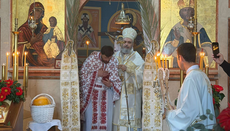 Литургијом обележен спомен светог Никодима Милаша у Шибенику