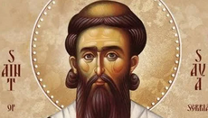 Концерт у Земуну: у част вишевековних јубилеја светог Саве и библиотеке