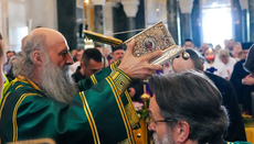 Патријарх: Без Пресвете Богородице не би било ни Цркве