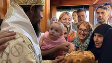 Владика Пајсије: Романови су донели обилан духовни плод иако су били окружени кукољем!