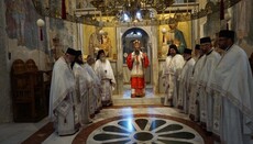 Митрополит Арсеније: Господ је на овај свет дошао из љубави не из потребе!