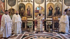 Митрополит Иларион служио у Зајечару 