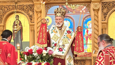 Епископ Иринеј: Парадокс Крста - оно што свет види као слабост постаје сила