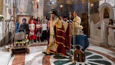 Мошти Свете Анастасије Српске стигле у Жичу