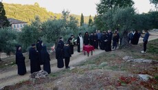 Хиландар: Одслужен молебан за почетак бербе маслина