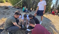 Око 600 садница посађено изнад Старе цркве у Мостару