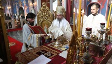 Ново рукоположење у Карловцу