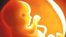 Creation of human embryos for biomedical applications banned in Russia